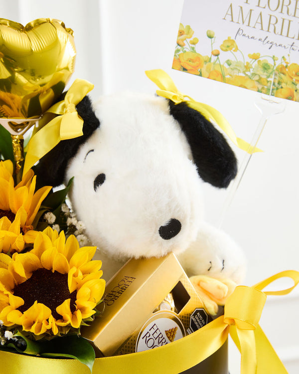 Box Snoopy Girasol