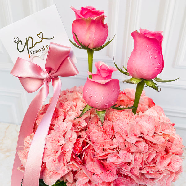 Flores Lady Rose Premium