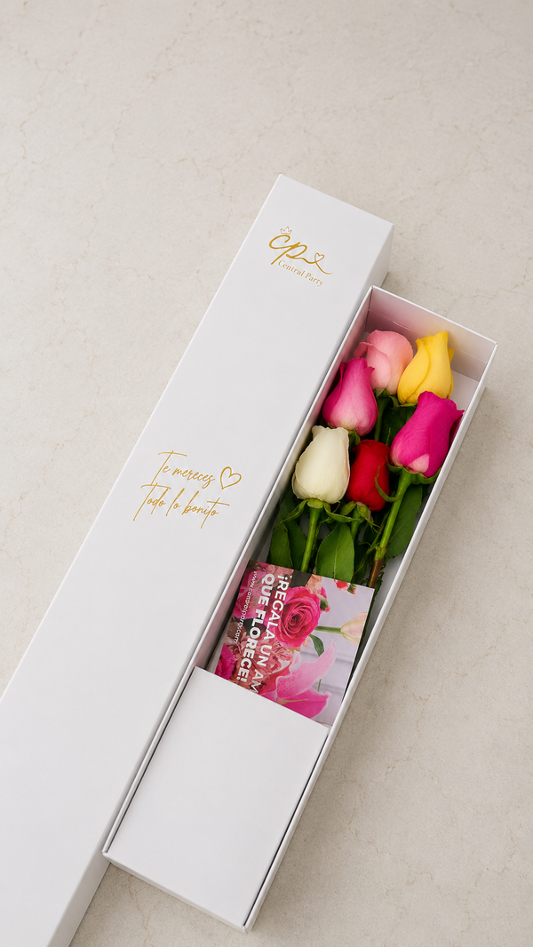 Caja de 6 Rosas Colores