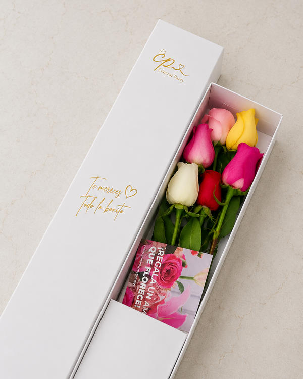Caja de 6 Rosas Colores