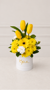 Mini Box 3 Tulipanes Amarillos