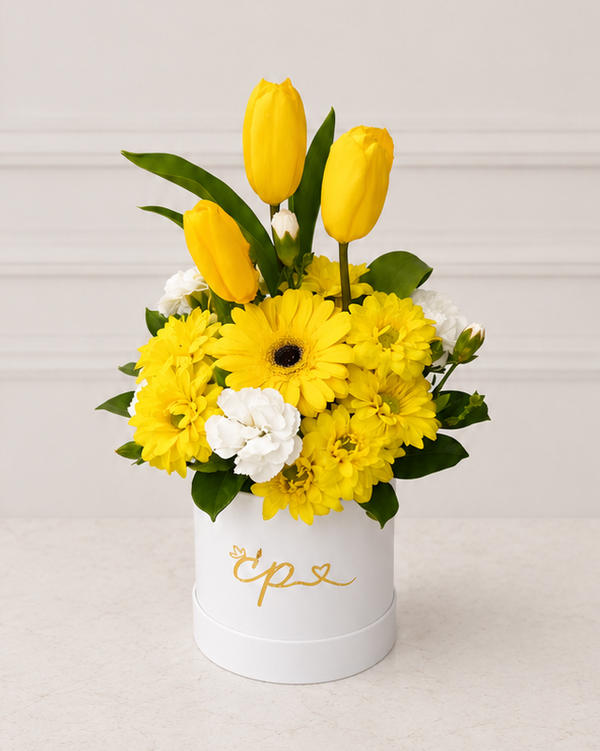 Box 3 Tulipanes Amarillos