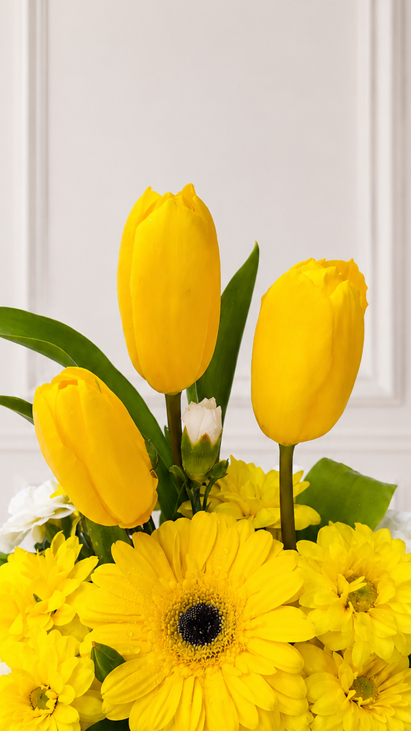 Box 3 Tulipanes Amarillos