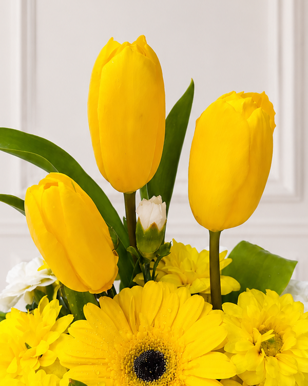 Box 3 Tulipanes Amarillos