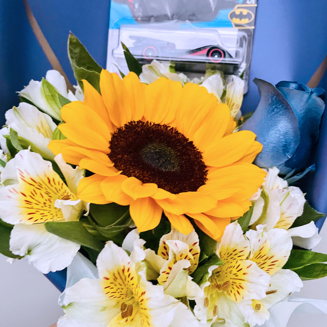 Girasoles Hotwheels Special