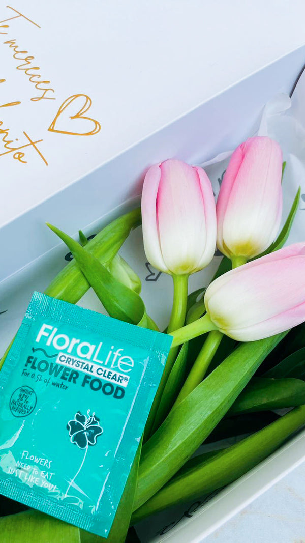Caja de 3 Tulipanes Rosados