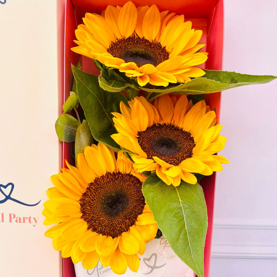 Caja de 3 Girasoles