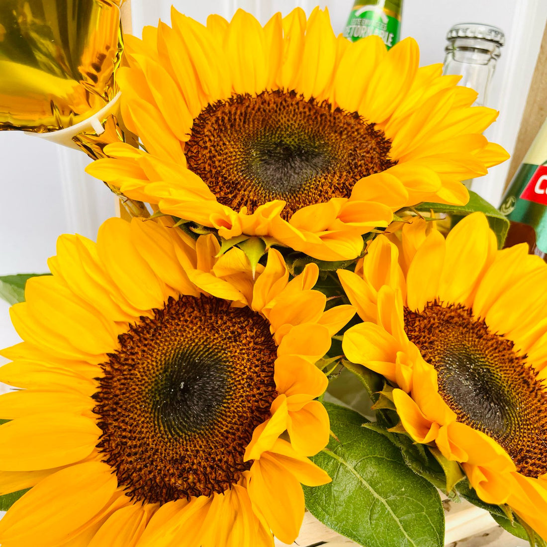 Box Cerveza y Girasoles