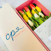 Caja de 10 Tulipanes Mixtos