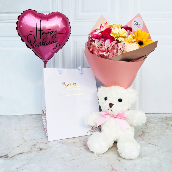 Pack Peluche Teddy