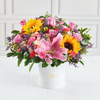 Box Floral Antonia