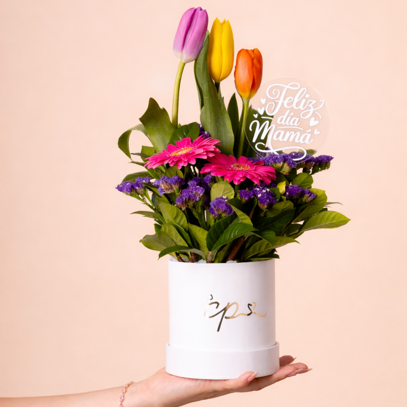 Box 3 Tulipanes Colores
