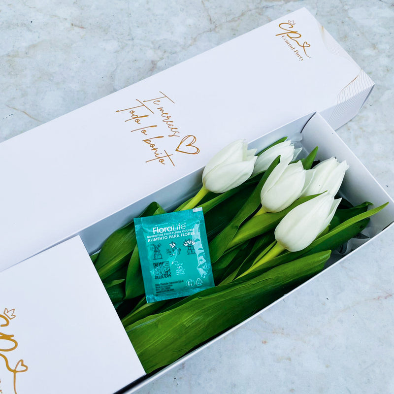 Caja de 5 Tulipanes Blancos