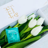 Caja de 5 Tulipanes Blancos