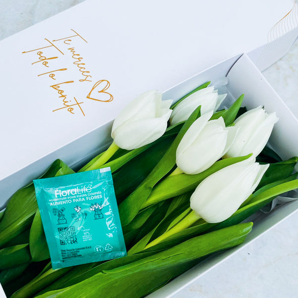 Caja de 5 Tulipanes Blancos