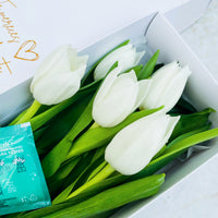 Caja de 5 Tulipanes Blancos
