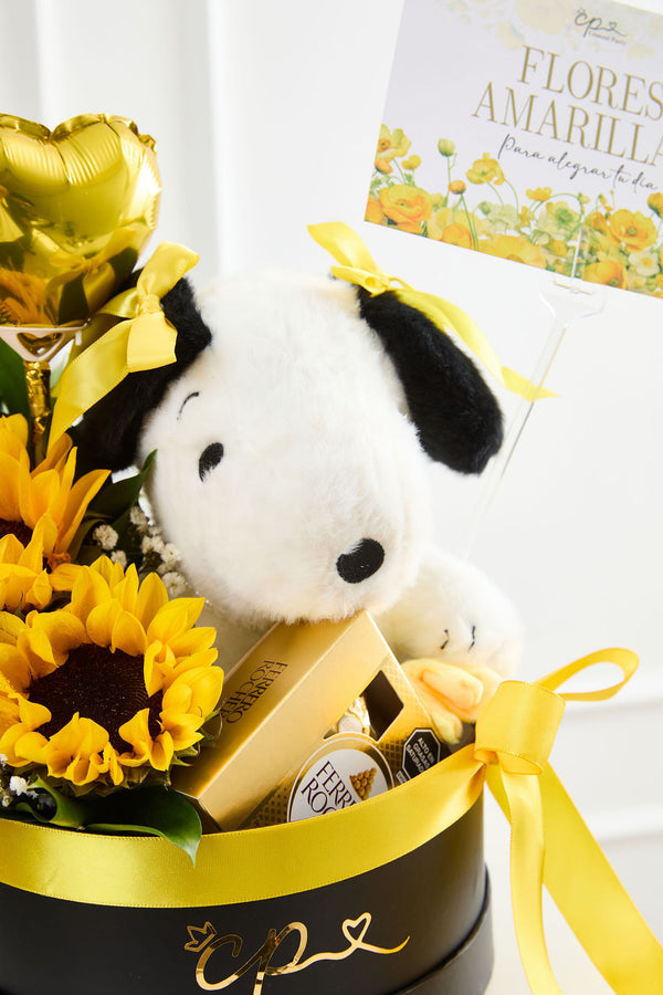Box Snoopy Girasol