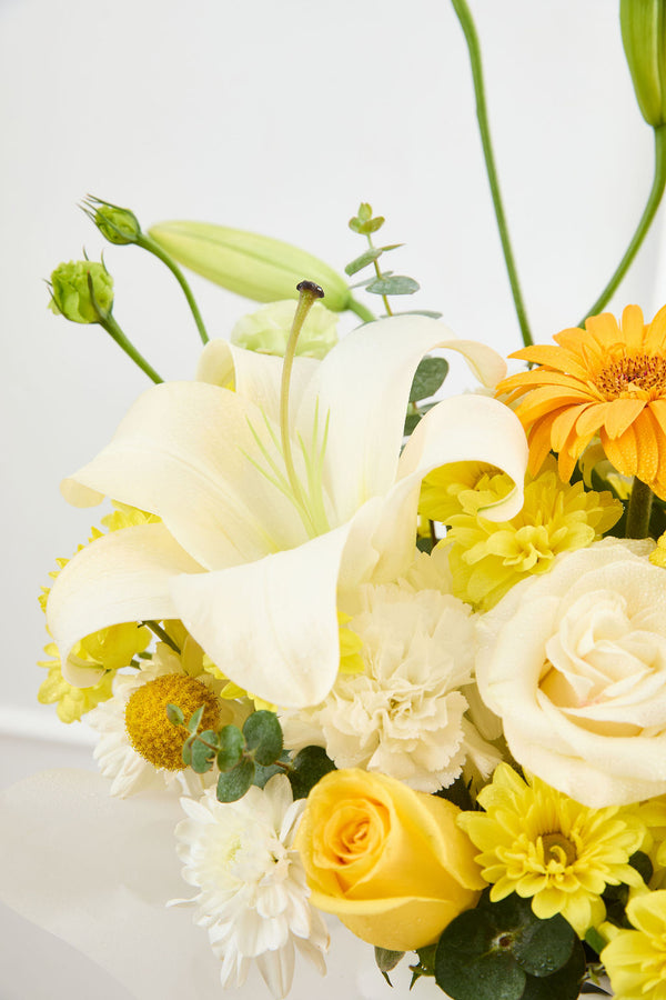 Box Florecer Amarillo