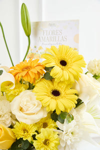 Box Florecer Amarillo