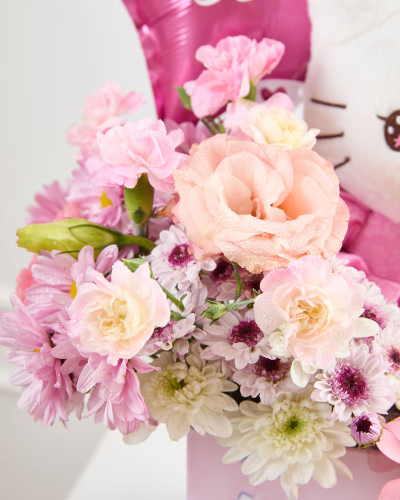 Box Hello Kitty Pink