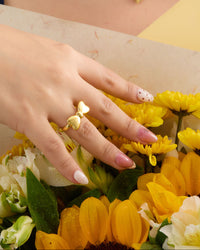 Anillo Lazo