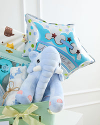 Box Bienvenida Little Principe