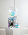 Box Koala Baby