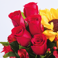 Box Floral Mi Girasol
