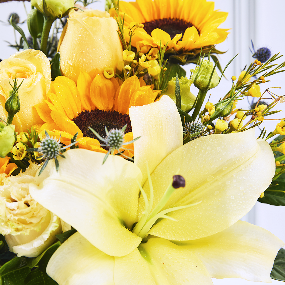 Box Girasoles + Lirio