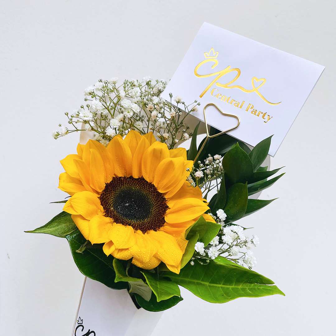 Conito Girasol & Cukeez