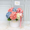 Box Mix Cute Hortensias