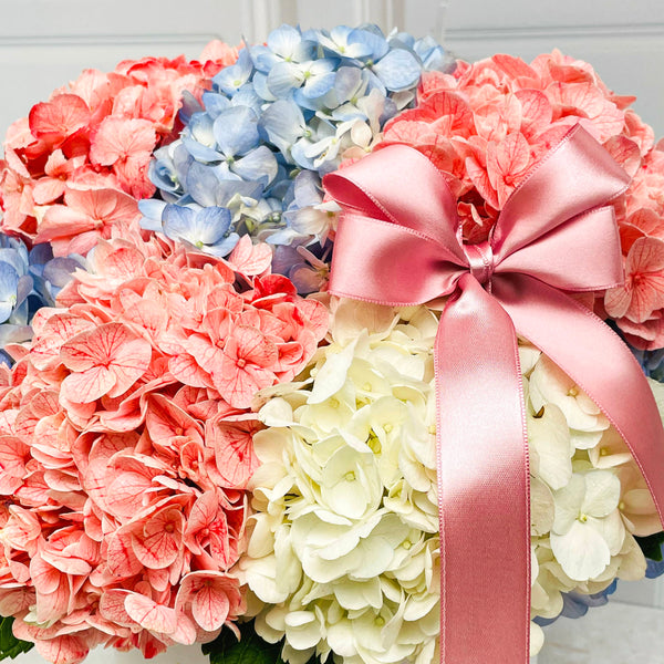 Box Mix Cute Hortensias