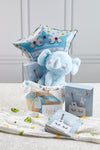Box Cute Elefante Niño