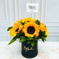 Box Negro 6 Girasoles