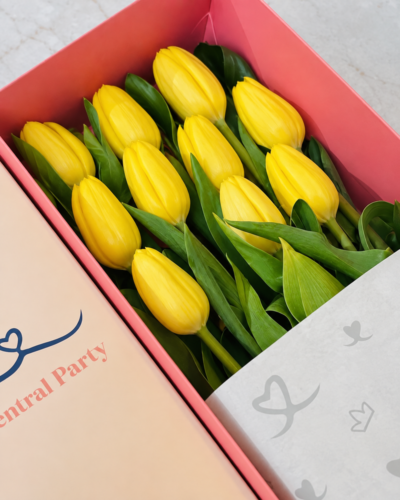 Caja 10 tulipanes Amarillos