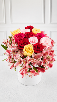 Box 4 Rosas Colores