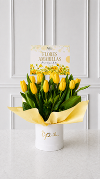 Box 10 Tulipanes Amarillos