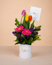 Box 3 Tulipanes Colores