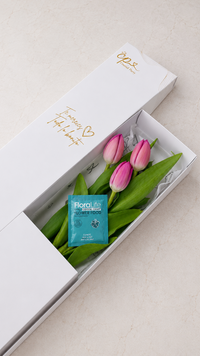 Caja de 3 Tulipanes Fucsias
