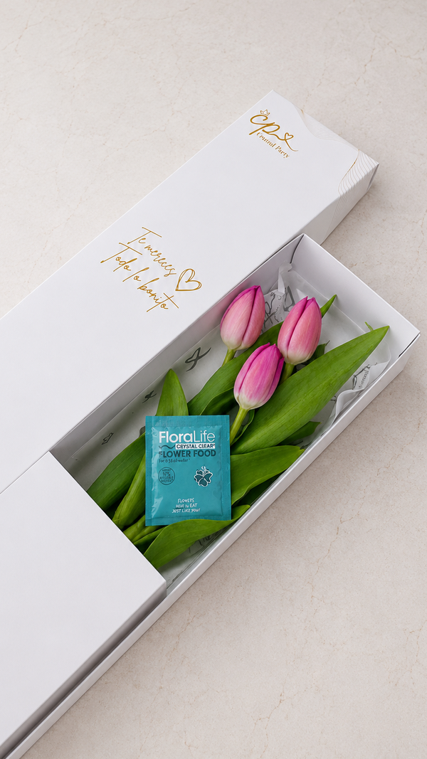 Caja de 3 Tulipanes Fucsias