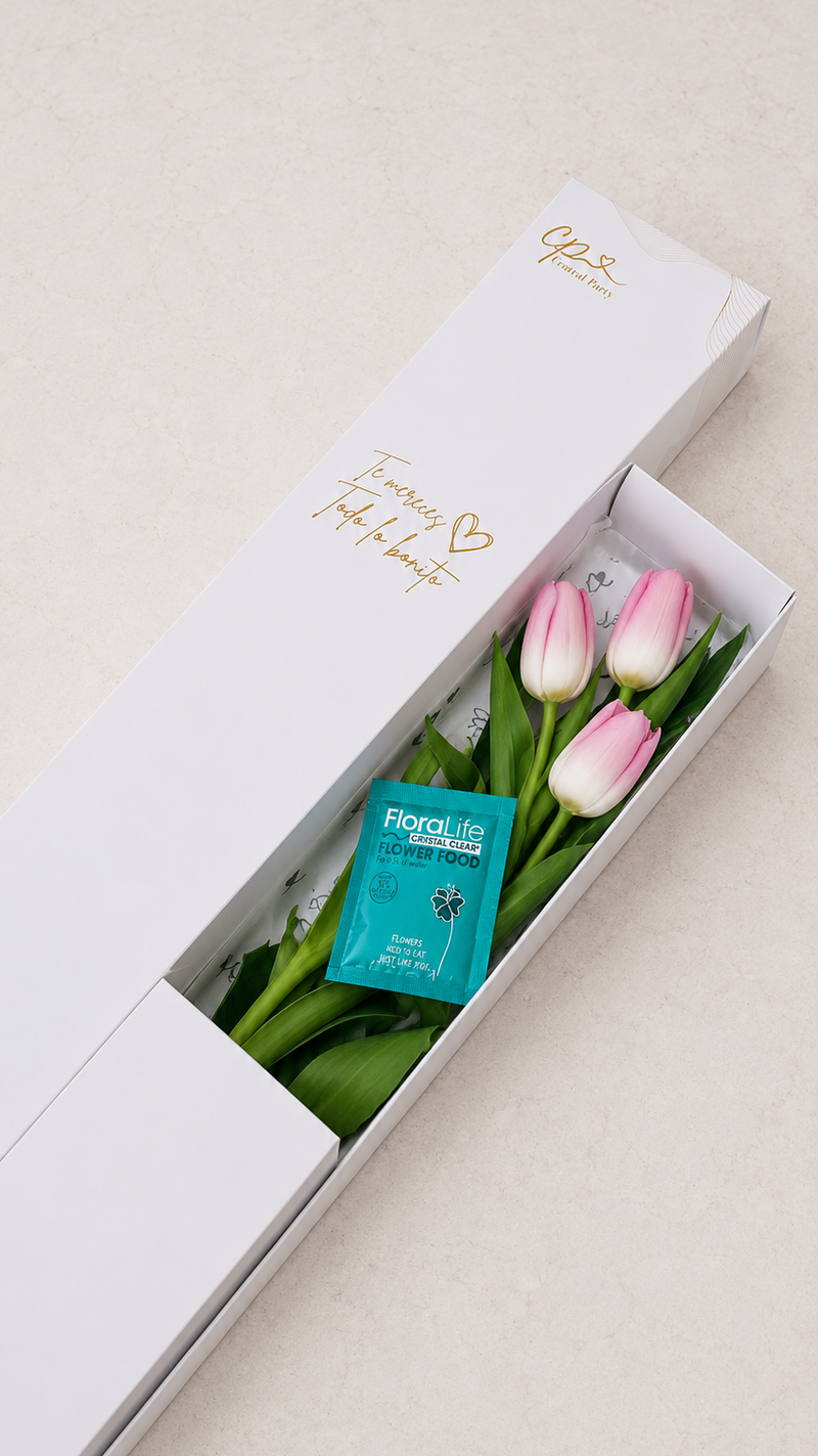 Caja de 3 Tulipanes Rosados