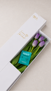 Caja de 5 Tulipanes Lila