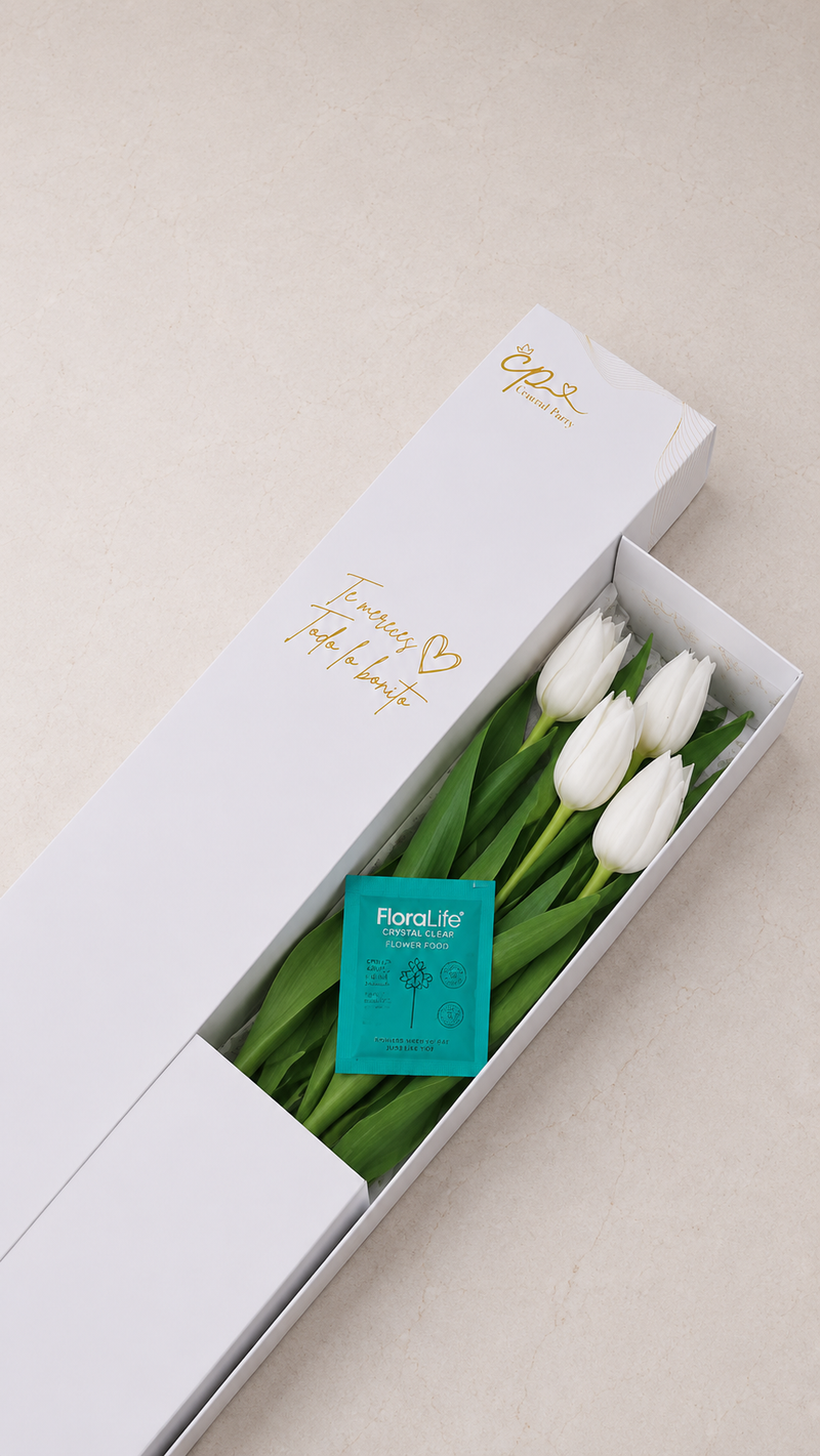 Caja de 5 Tulipanes Blancos