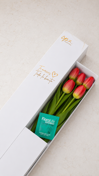 Caja de 5 Tulipanes Naranjas