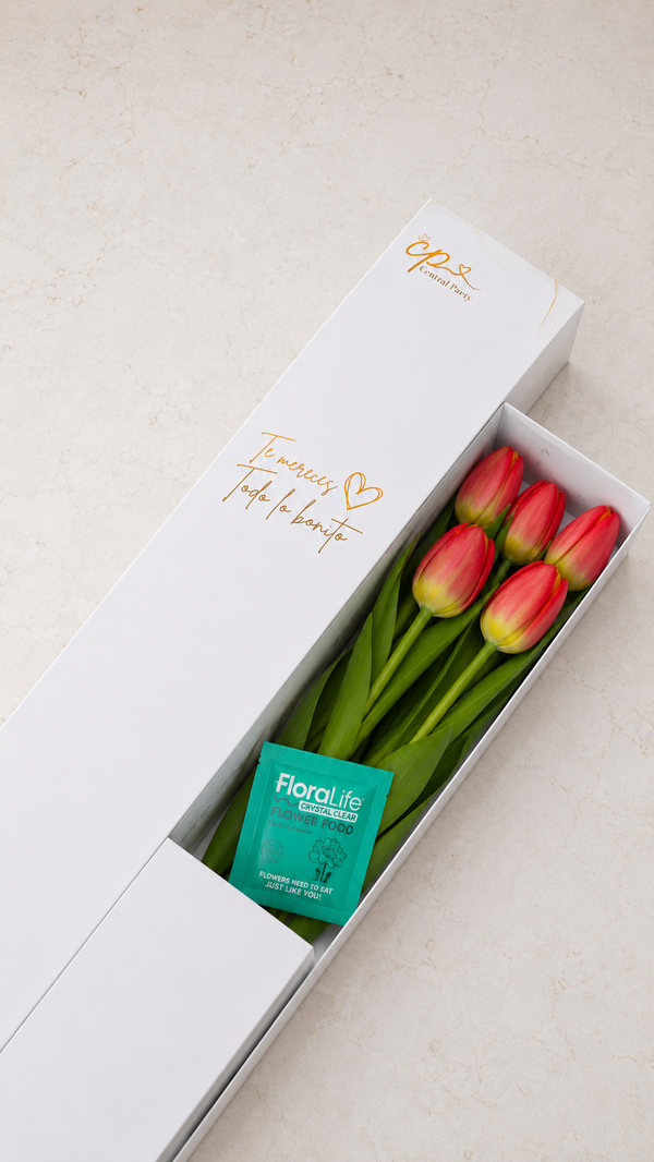 Caja de 5 Tulipanes Naranjas