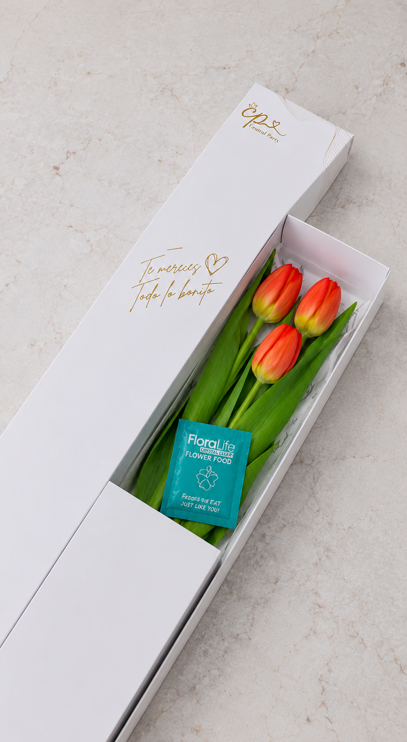 Caja de 3 Tulipanes Naranjas