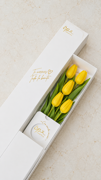 Caja de 5 Tulipanes Amarillos