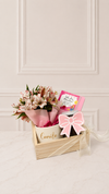 Box Primavera Teacher
