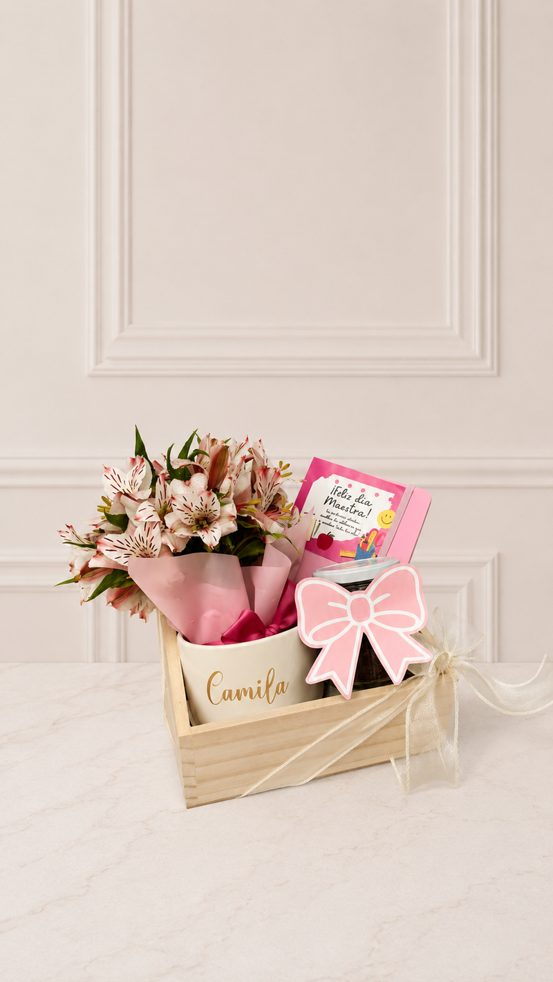 Box Primavera Teacher