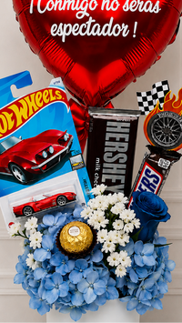 Mini Box Hotwheels Premium